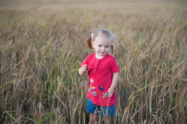 Çavdar olan bir alana bir çocuk oynar