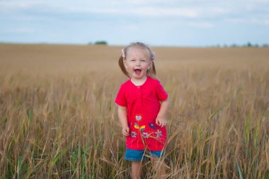 Çavdar olan bir alana bir çocuk oynar
