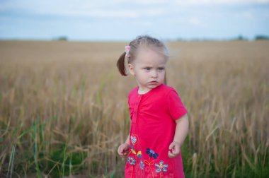 Çavdar olan bir alana bir çocuk oynar