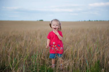 Çavdar olan bir alana bir çocuk oynar