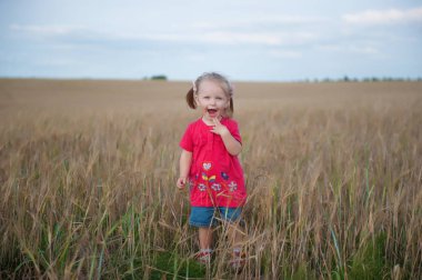 Çavdar olan bir alana bir çocuk oynar