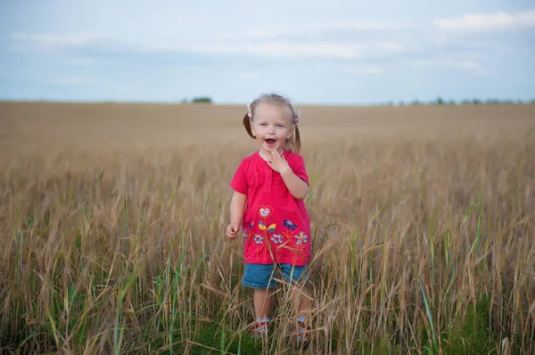 Çavdar olan bir alana bir çocuk oynar