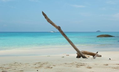 Tayland Similan Adaları beach