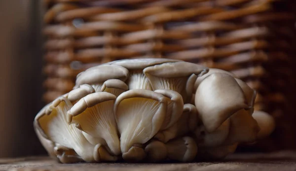 Cogumelo Ostra Uma Mesa Madeira — Fotografia de Stock