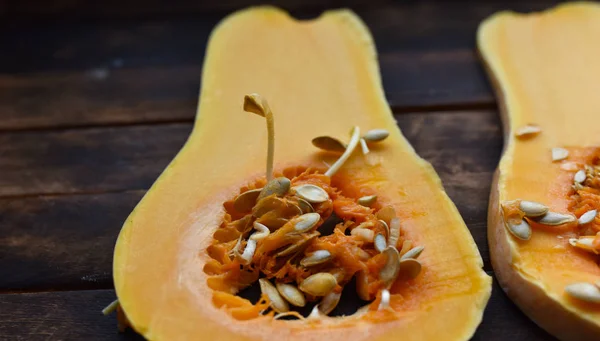 pumpkin pear-shaped Spanish guitar in the context of seeds