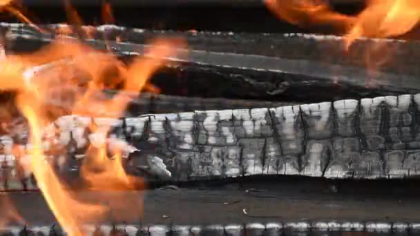Troncos Madera Arden Calientes Fuego — Vídeos de Stock