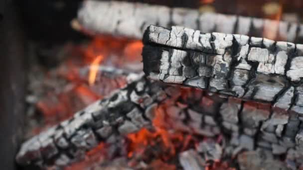 木柴在火中烧得很旺 — 图库视频影像