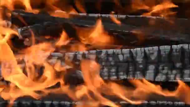 木の丸太は火の中で熱く燃える — ストック動画