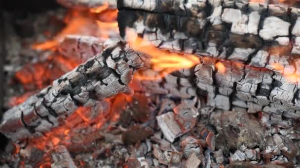 Houtblokken Branden Heet Het Vuur — Stockvideo
