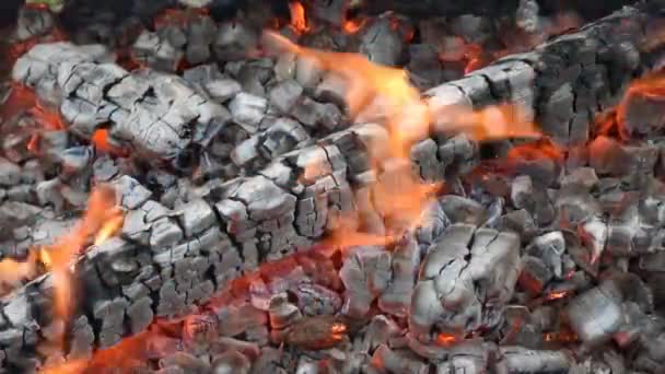 Troncos Madera Arden Calientes Fuego — Vídeo de stock
