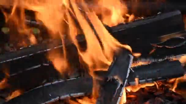 Grumes Bois Brûlent Chaud Dans Feu — Video