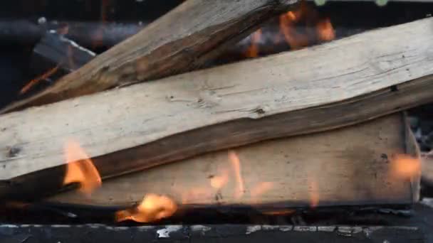 Grumes Bois Brûlent Chaud Dans Feu — Video