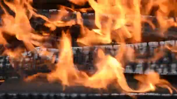 Wood Logs Burn Hot Fire — Stock Video