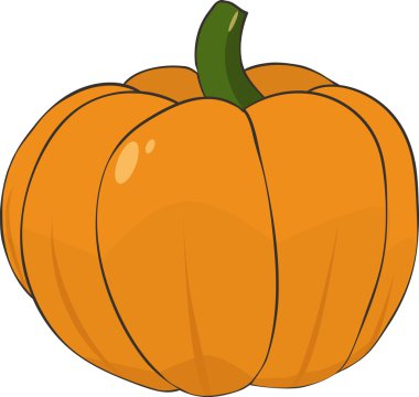 vektör turuncu kabak çizim