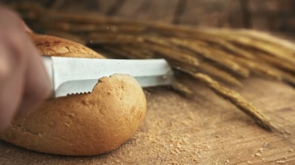 Pão Corte Para Sanduíches — Vídeo de Stock