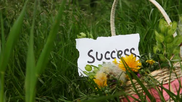 Conceito do sucesso, sucesso da palavra no livro branco com fundo verde da natureza — Vídeo de Stock