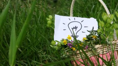 Ampul, doğa yeşil arka plan açık üzerinde fikir kavramı