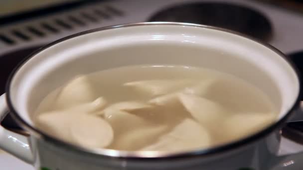 Pelmeni of dumplings bewegen in het water rond, koken — Stockvideo