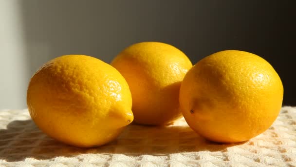 Ручной выбор лимона — стоковое видео