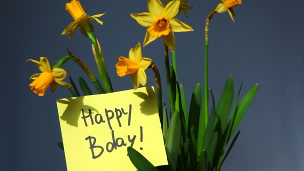 Boldog születésnapot kártya nárcisz — Stock videók