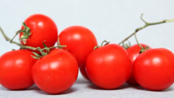 Szare tło z czerwone pomidory, ręce Dokonywanie wolna kopiować miejsca — Wideo stockowe
