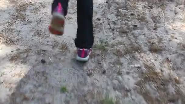 Kaki womans berjalan di hutan — Stok Video