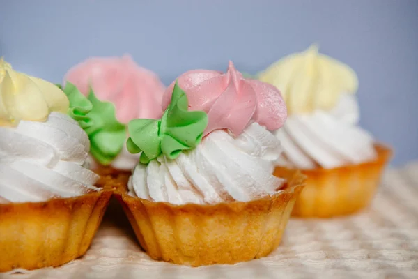 Colorful cupcakes on blue background