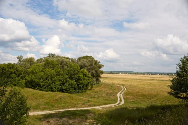 yol boyunca saç ekimi