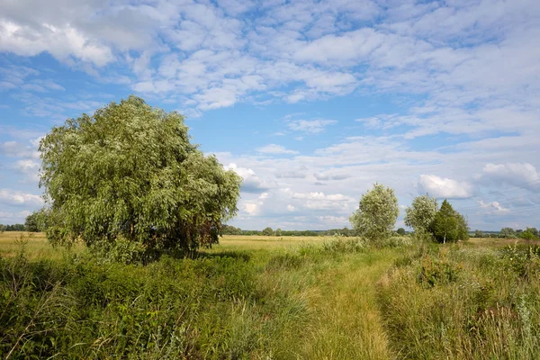 kırsal kesimde yaz yürüyüş