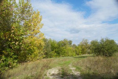 Ağaçlarda sonbahar başlar