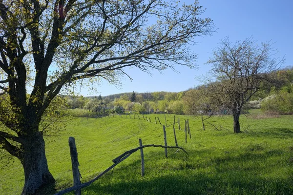 Nehirde Psyol atlama