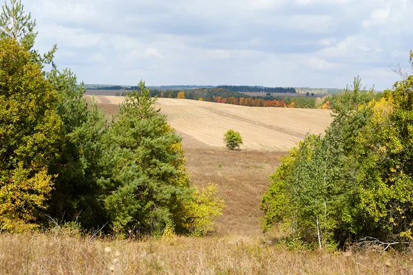 sonbahar görünümünü alan hasat