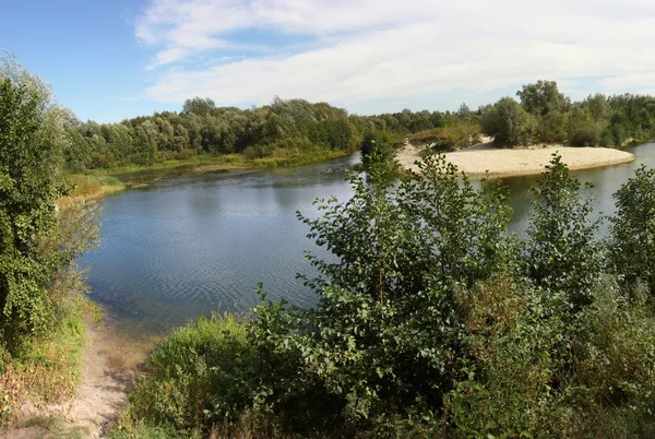 güzel yaz günü açık havada