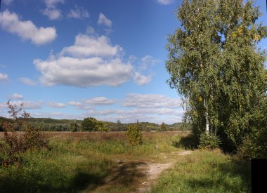 çayır üzerinde güzel bulut