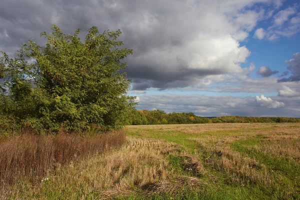 hasat yağmur tanışmaya hazır alandır