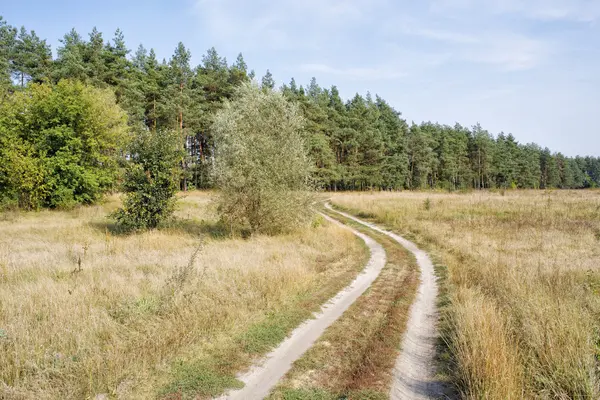 Yol nehre ormanın kenarına geçmiş