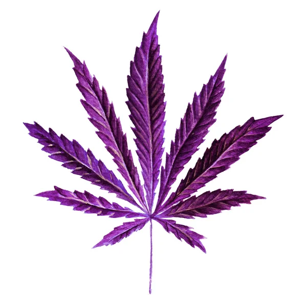 Helles Cannabis sativa Blatt in Aquarell gemalt. handgezeichnete Marihuana-Illustration isoliert auf weißem Hintergrund. Gestaltungselement — Stockfoto