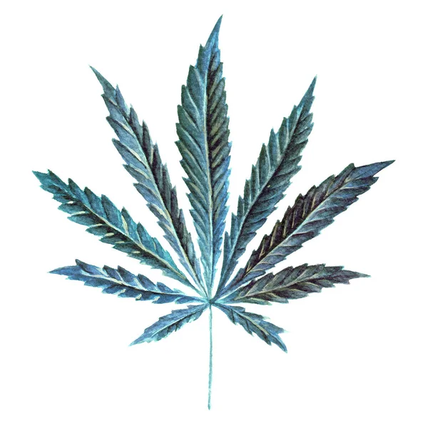 明るい大麻イネ葉を水彩で描いた。手描きマリファナのイラストが白い背景に分離されました。デザイン要素 — ストック写真