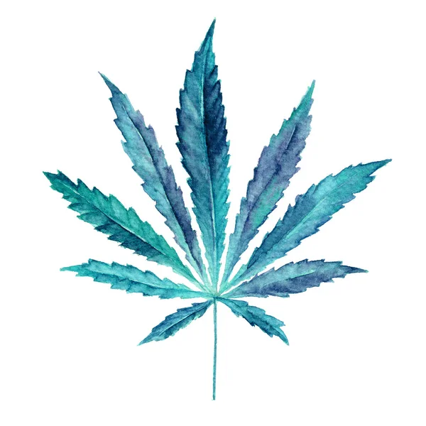 Cannabis sativa Blatt in Aquarell gemalt. — Stockfoto