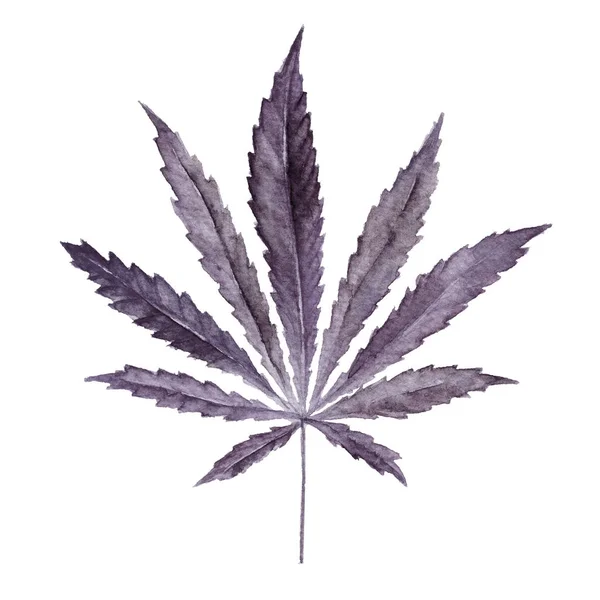 Cannabis sativa Blatt in Aquarell gemalt. — Stockfoto