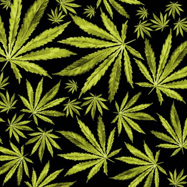 Kalabalık esrar siyah arka plan üzerine bırakır