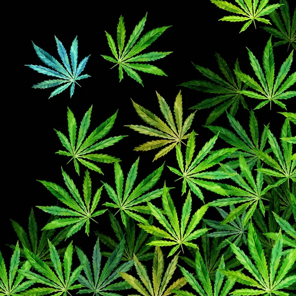 Folle di foglie di cannabis su sfondo nero — Foto Stock