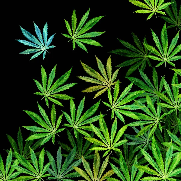 Multitud de hojas de cannabis sobre fondo negro —  Fotos de Stock