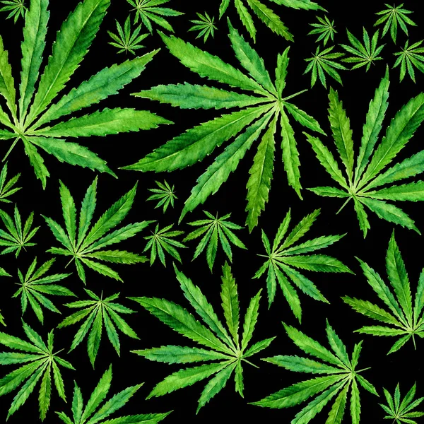 Kalabalık esrar siyah arka plan üzerine bırakır