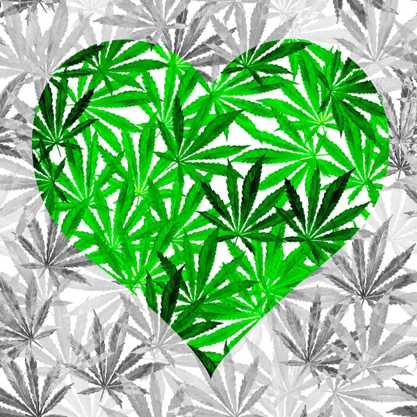 Corazón de hojas de cannabis sativa verde brillante — Foto de Stock