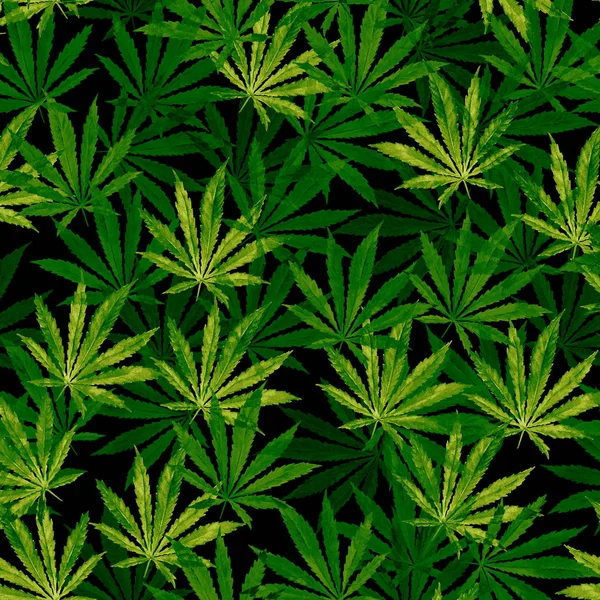 Multidão de folhas de Cannabis no fundo preto — Fotografia de Stock