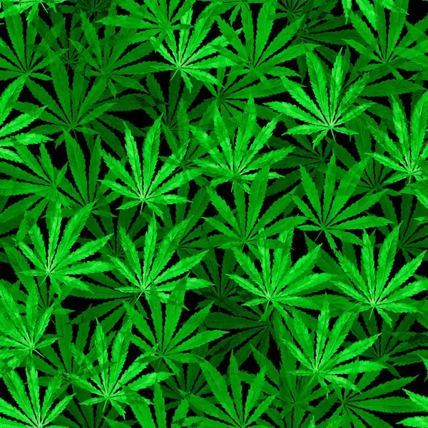 Multidão de folhas de Cannabis no fundo preto — Fotografia de Stock