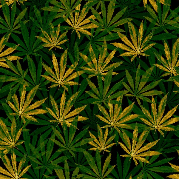 Multitud de hojas de cannabis sobre fondo negro — Foto de Stock