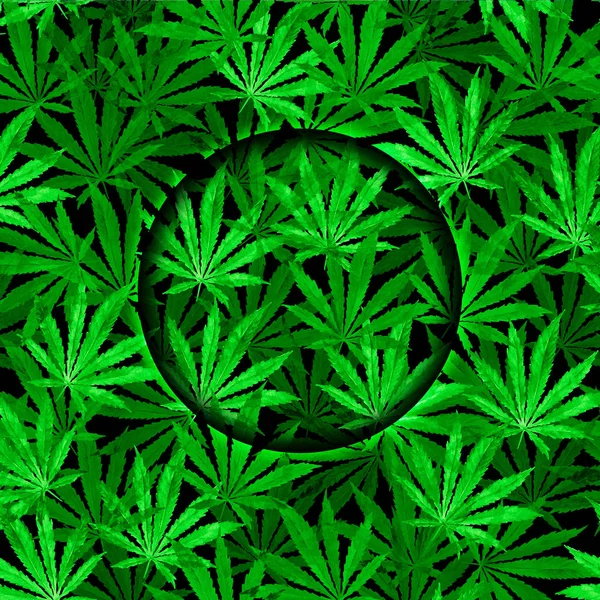Crowd of Cannabis leaves on black background — Stock Photo, Image
