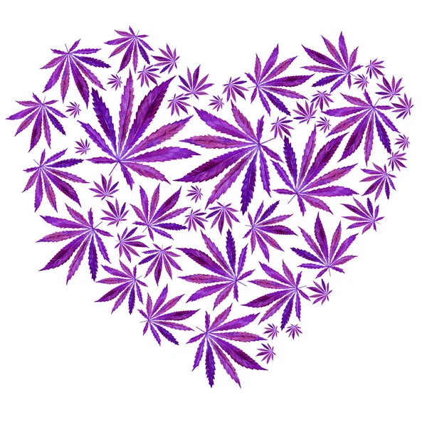 Heart of Bright Purple cannabis sativa leaves — Stock Photo, Image